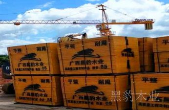 南宁建筑模板生产厂家有那些?